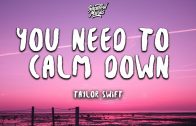 Taylor-Swift-You-Need-To-Calm-Down-Lyrics-1